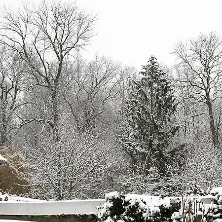 Haus Mit Kunst Zwischen Wald Und Holiday home Leipzig